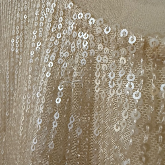 Evereve Cream Sequin Short Sleeve Tee - Picture 3 of 5